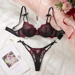 Erotic Lingerie Set Sexy See-Through Pink Mesh Heart Embroidery Gathered Bra Set for Women Sexy Underwear Set - 图片 5