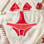 New Romantic Women Solid Bra & Brief Set Lace Halter Cross Christmas Theme Women's Underwear Sexy Thin Bra and Lingerie Sets - 图片 5