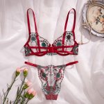 Manufacturer New Design Women's Sexy Lingerie One Piece Lace Underwear Sets Multiple Colors Hollowed Out Women Lingerie Sets - 图片 5