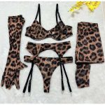 Erotic Lingerie Set, Sexy Mesh Embroidery and Highlight Dyeing Sexy Lingerie Five-piece Set - 图片 5