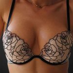 European and American Sexy Rose-embroidered Bra Set, Anti-sagging and Fun Plus-size Underwear, French Ultra-thin Mesh Fabric - 图片 6