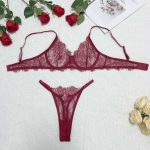 Russian Best-selling Lace Mesh Embroidery See-through Sex Lingerie and Sexy Bra Sets in Multiple Colors and Sizes - 图片 6