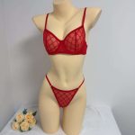 Factory Direct Sales of Russian Sexy and Romantic Lingerie Sets with Mesh and Bow, in Multiple Colors and with Steel Rims - 图片 6