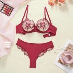 A Popular and Sexy Bra Set for Women in Europe and America, Featuring Transparent Lace Lace Embroidery and Steel Rims - 图片 6