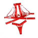 A Two-piece Set of Popular European and American Spliced Mesh Fabric See-through Low-cut Romantic Lingerie with a Beautiful Back - 图片 6