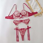 New European and American See-through Embroidery Romantic Bra Set, Sexy Lace Underwear and Underpants Set - 图片 6