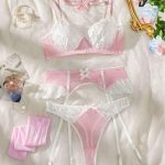 European and American Erotic and Romantic Halter Lace Mesh Semi-transparent Sexy Undergarment Set with Steel Rings - 图片 6