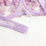 Women's Sexy Lace Bra Set Transparent Fashion Plus Size Luxurious Push-Up Sexy Lingerie Lace Bra and Briefs Set - 图片 6