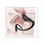 Sex Products Male Prostate Massager With Cock Ring Delay Ejaculation Male Masturbator Anal Butt Plug Sex Toys for Man - 图片 6