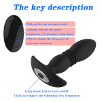 Waterproof 10 Powerful Vibrating Prostate Massager Stimulation Patterns Remote Control Anal Butt Plug Sex Toys for Men - 图片 6