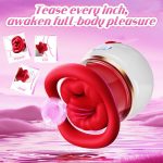 LetRock 5 in 1 Sucking Vibrator Rose Sex Toy Clit Nipple Massage Products LED Screen Adult Toys Sex Toy Box for Women - 图片 6