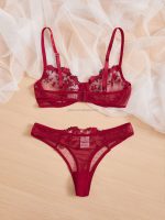 Female Embroidered Mesh Underwire Lenceria Blue Sexy Underwear Bra & Brief Conjuntos Lingerie Bralete Sets - 图片 6