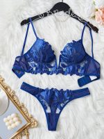 Wholesale Vendors Women Sexy Erotic Lingerie Set Hot Transparent Two Piece V Shape Decorative Lingerie Sexy Underwear Set - 图片 6