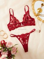 Hot-Selling Floral Embroidery Sexy Lingerie Thong Set Soft Embroidery Sheer Mesh Bra & Briefs Pure Desire Lingerie - 图片 6