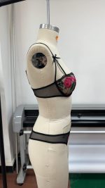 Women's Sexy Pure Desire Floral Embroidery Lace Push-up Side Breast Control Lingerie Set Logo Positioned Waist Bra & Briefs - 图片 6