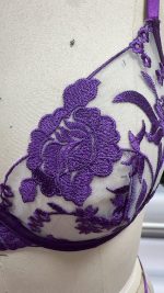 Wholesale Young Lady Fancy Push up Embroidered See Through Bra Top Sexy Bandage Erotica Bra Panty Set - 图片 6