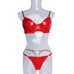 Hot Sale Women Sexy Lace Ultra-Thin Lingerie Embroidered Costume Erotic Floral Underwear Bra Lingerie Sexy Underwear Bra Set - 图片 6