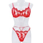 High Quality Women's Sexy Lingerie Set Embroidered Floral Erotic Underwear with Lace Bra for Summer - 图片 6