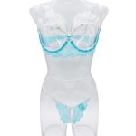 Hot Sale Sexy Lace Erotic Women's Summer Bra Panties Set Lady Lingerie Underwear with Brassiere & Briefs - 图片 6