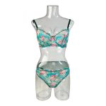 Women's Sexy Lace Erotic Lingerie Set Cheap Price Summer Underwear with Lace Bra Panties Comfortable and Stylish - 图片 6