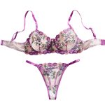 High Quality Hot Sexy New Design Transparent Hot Sexy Bra Panty Set Lace Lingerie Women Bra and Panty Underwear Set - 图片 6