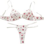 Wholesale Design Hot Sexy New Design Transparent Hot Sexy Bra Panty Set Lace Lingerie Women Bra and Panty Underwear Set - 图片 6