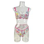 Factory Cheap Price Hot Sexy New Design Transparent Hot Sexy Bra Panty Set Lace Lingerie Women Bra and Panty Underwear Set - 图片 6