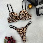 2025 Factory Direct Sales Sexy Hollow See-through Mesh Bra Underwear Ultra-thin Set for Women Sexy Leopard Print Lingerie Set - 图片 6