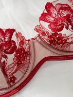 Sheer Black Floral Embroidered Lace Set Lingeries Sets Sexy Women Bra and Panty Woman Transparent Womens Lingerie - 图片 6