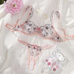 New Mesh Fabric Sexy and Seductive See-through Embroidered Lace Halter Bra Set for Women's Lingerie - 图片 6