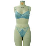 A New Style of Blue Mesh Lace Ribbon Lace See-through Sexy and Romantic Underwear with European and American Style - 图片 6