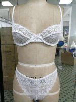 Floral Lace Sexy See Through Women Lingeries Bra and Panty Set - 图片 7