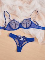 Female Embroidered Mesh Underwire Lenceria Blue Sexy Underwear Bra & Brief Conjuntos Lingerie Bralete Sets - 图片 7