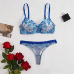 Wholesale Sexy Exotic Women's Clothing Sexy Underwear Set Women Sexy Bra and Thong Garter Belt Sets Sexy Lingerie - 图片 7