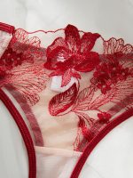 Sheer Black Floral Embroidered Lace Set Lingeries Sets Sexy Women Bra and Panty Woman Transparent Womens Lingerie - 图片 7