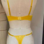 A New Two-piece Set of Halter Lace Mesh See-through Embroidered Lace with Triangle Pants and Sexy Underwear - 图片 7