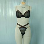 A Two-piece Set of Popular European and American Halter Lace Mesh Embroidery See-through Sexy Home Underwear - 图片 7