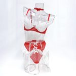 European and American Best-selling Sexy Underwear: Ultra-thin See-through Mesh Lace Underwear, Maid Dress and Romantic Underwear - 图片 7