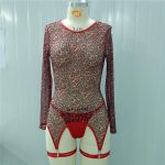 A New Long-sleeved, Hot, Sexy and See-through Fashionable Women's Lingerie Set, a Bestseller From Europe and America - 图片 7