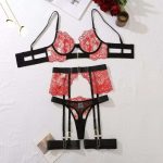 New High-quality European and American Embroidered Sex Lingerie, Embroidered Eyelash Lace, See-through Sexy Lingerie Set - 图片 7