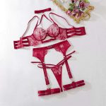 European and American Sexy Cross-necked, Embroidered, See-through Mesh Fabric Patchwork Lingerie and Underpants Set - 图片 7