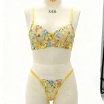 European and American Best-selling Embroidered Bra with Steel Rims, See-through Sex Lingerie Set for Women - 图片 7