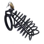 Key and Lock Included Cock Cage Male Chastity Device Locked Cage Sex Toy for Men Chastity - 图片 7